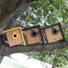JCS Wildlife