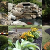A Force of Nature Landscaping gallery