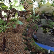 Gallery Image Number 7
