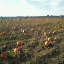 Rock Creek Farm - Farms