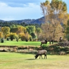 Rocky Mountain Resorts gallery