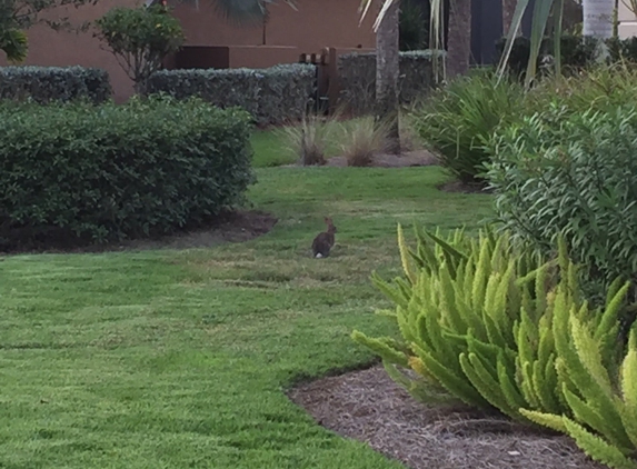 Wildcat Run Golf Course - Estero, FL