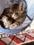 Glenroy Vet Clinic - Veterinary Surgeons
