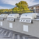 Hilton Vacation Club Mill Springs Lodge Pigeon Forge - Hotels