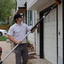 Naperville Wildlife Control - Animal Removal Services