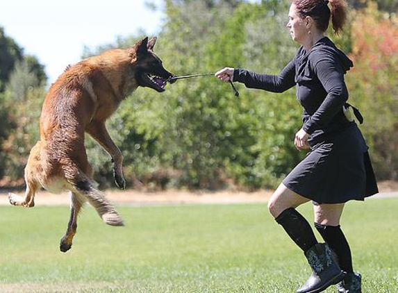 Elissa Cline Dog Training - Wilmington, OH