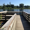 Larsen Lake Blueberry Farm gallery