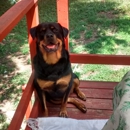 Petco - Pet Services