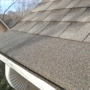 Dynamic Gutter and Cover