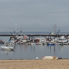 Surf Restaurant