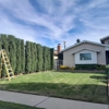 Jose's Lawncare Service gallery