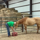 Equine Experiential Education Association - E3A - Mental Health Services