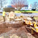 Magnolia Tree & Landscape Specialist - Tree Service