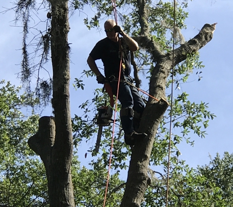 Dunkle's Tree Service - Jacksonville, FL