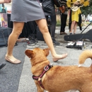 First Saturday Arts Market
