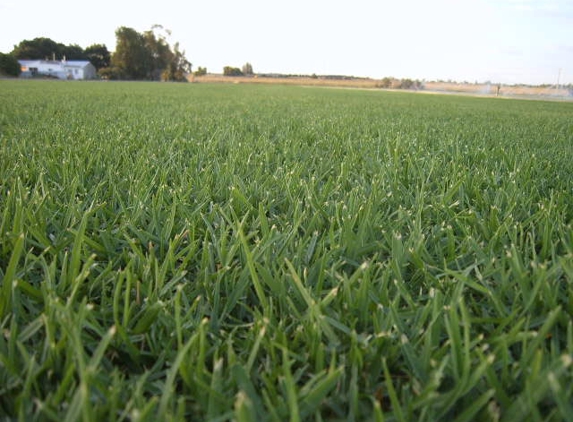 Lake Wyangan Turf Supplies - Lake Wyangan, NSW