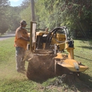 Etter's Tree & Stump Service - Tree Service