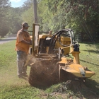 Etter's Tree & Stump Service