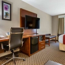 Comfort Suites Phoenix Airport - Motels