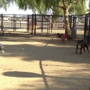 Menifee Dog Park