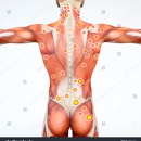 Noreen's Restoration Spa - Spas & Hot Tubs