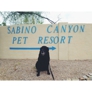 Sabino Canyon Pet Resort - Tucson, AZ
