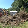 AJ's Tree Removal gallery