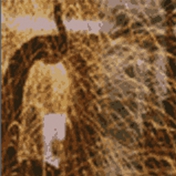 Gallery Image Number 4