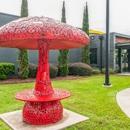 Mellow Mushroom Valdosta - Pizza