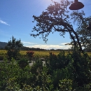 Lasseter Family Winery - Wineries