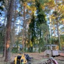 Precision tree trimming and Removal, LLC - Stump Removal & Grinding