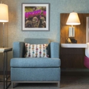 Hampton Inn Clovis - Hotels