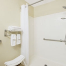 Microtel Inn & Suites by Wyndham Seneca Falls - Bed & Breakfast & Inns