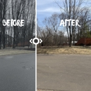 Statement Tree Care - Tree Service