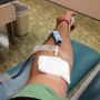 Suncoast Communities Blood Bank, Inc.