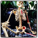 Flintridge Family Chiropractic - Chiropractors & Chiropractic Services