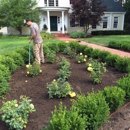 Modern Landscaping Inc - Landscape Designers & Consultants