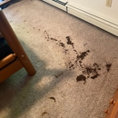Chem-Dry of Sioux Falls - Upholstery Cleaners