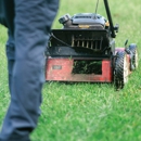 Terraluxe Myrtle Beach Landscaping & Lawn Care