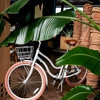 1 Hotel Hanalei Bay gallery