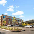 Hamilton at Eagleview - Apartments
