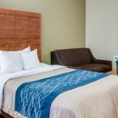 Comfort Inn & Suites El Dorado - Motels