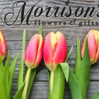 Morrison's Flowers & Gifts | Florist