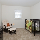 Governor Mifflin Apartments - Apartments