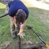 Royal Flush Septic Services LLC gallery