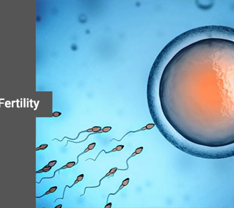 Flynn Dr Michael - Benowa, QLD. Assisted Fertility