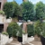 Yard Guard  Property Services - Property Management