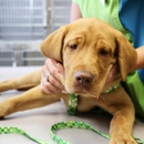 AniMed Animal Hospital - Veterinarians