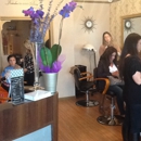 Dana D. Hair Studio - Beauty Salons