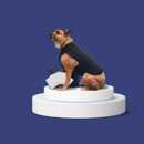 Healers PetCare, Inc - Pet Stores